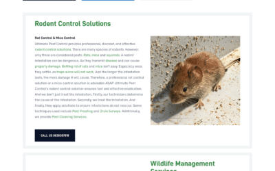 Ultimate Pest Control ultimatepestcontrol.ie