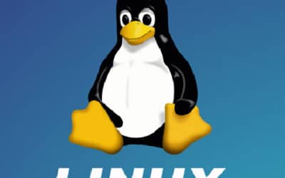 The Evolution of Linux: From Hobby Project to Global Phenomenon