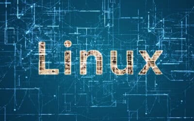The Open Source Revolution How Linux Changed the Game