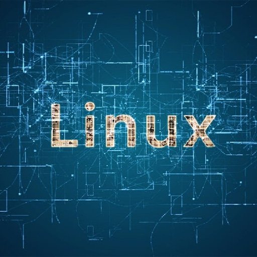 The Open Source Revolution How Linux Changed the Game